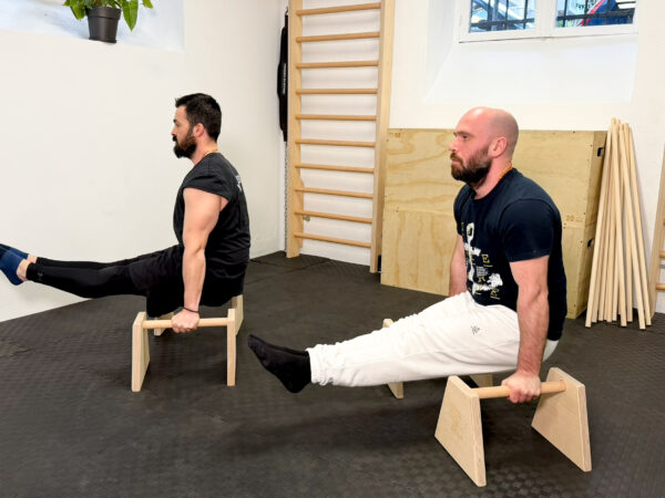 calisthenics group training